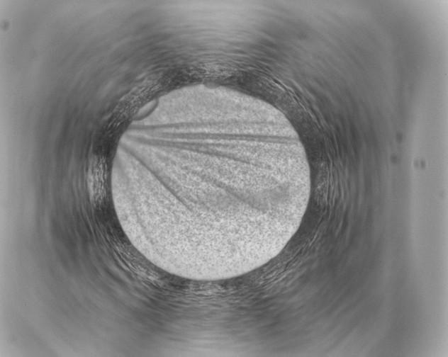 X0000086970866200705141648