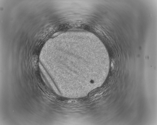 X0000086970867200705141648