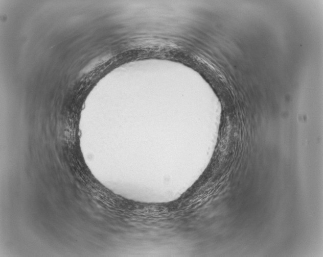 X0000086970869200705141648