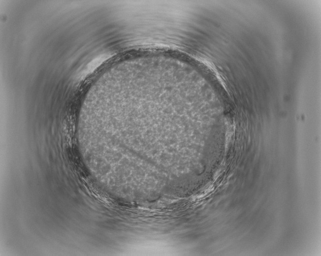 X0000086970871200705141648