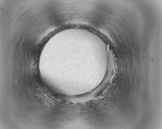 X0000086970872200705141648