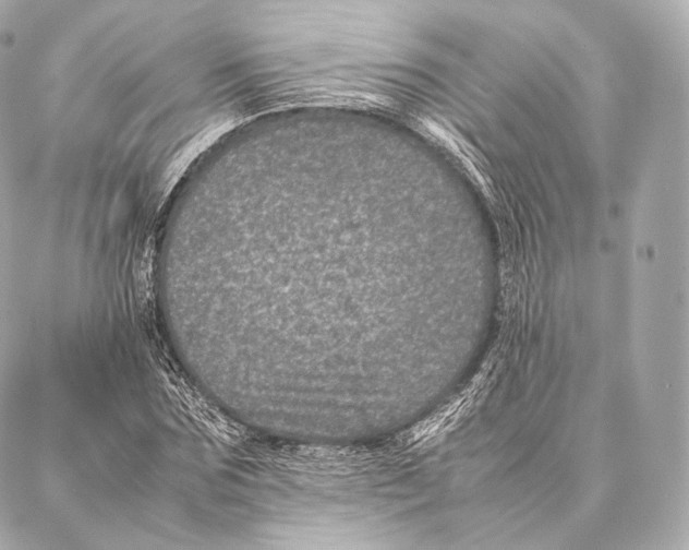 X0000086970875200705141648