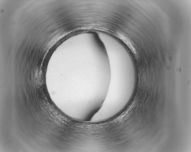 X0000086970876200705141648