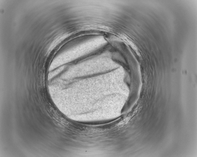 X0000086970877200705141648