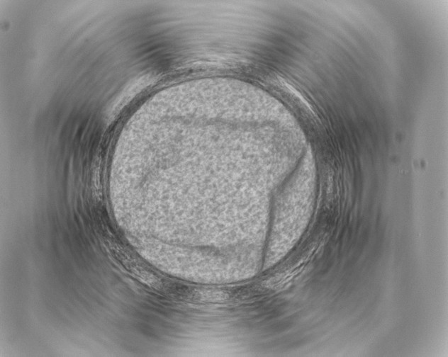 X0000086970878200705141648