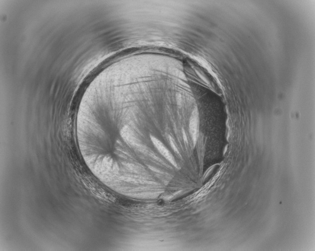 X0000086970879200705141648