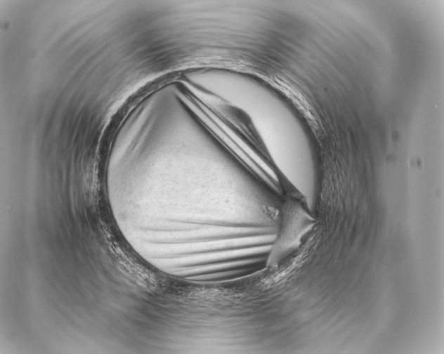 X0000086970880200705141648