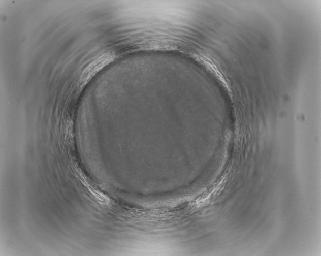 X0000086970881200705141648