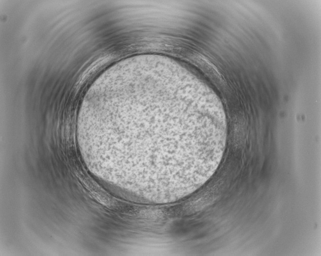 X0000086970882200705141648