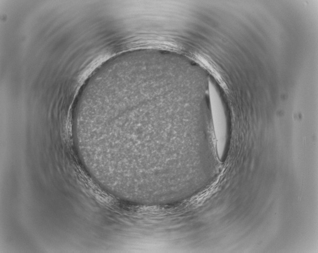 X0000086970883200705141648