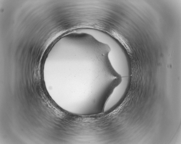 X0000086970884200705141648