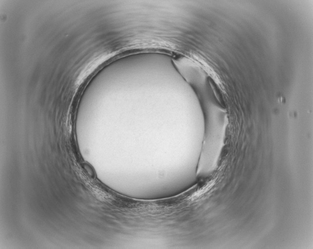 X0000086970885200705141648