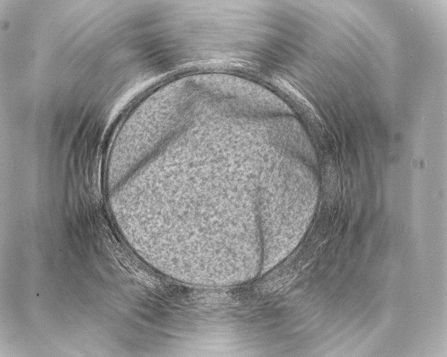 X0000086970886200705141648