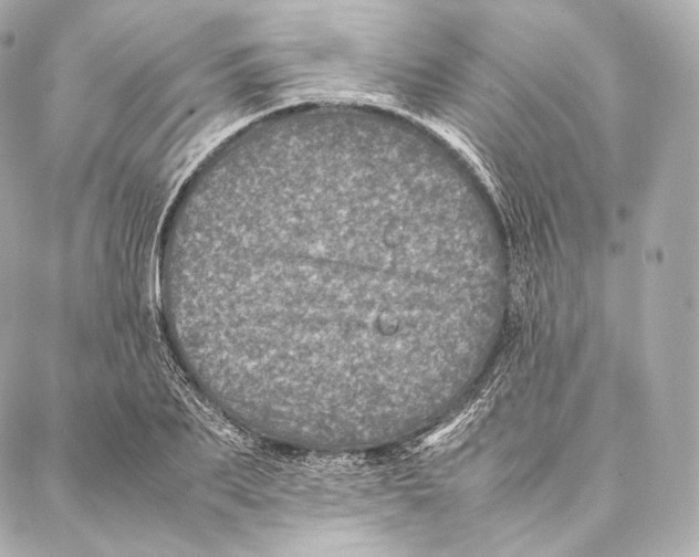 X0000086970887200705141648