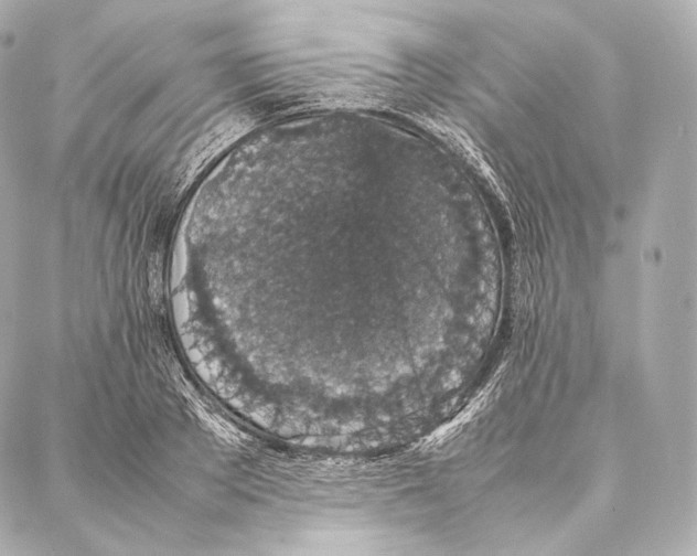 X0000086970889200705141648