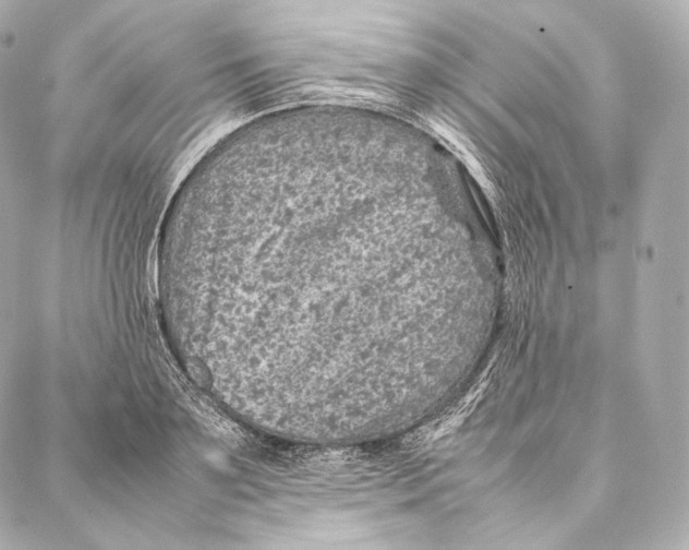 X0000086970891200705141648