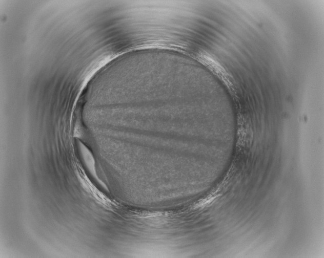 X0000086970892200705141648