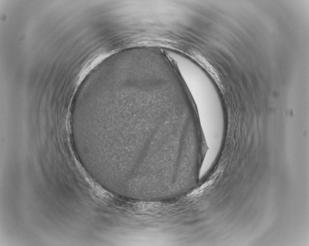 X0000086970893200705141648