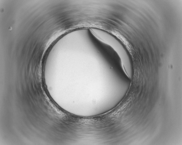 X0000086970894200705141648