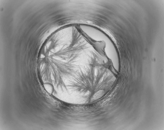 X0000086970895200705141648