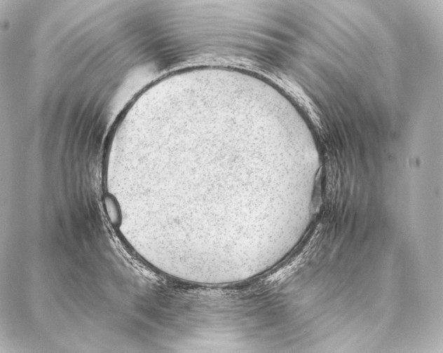 X0000086970896200705141648