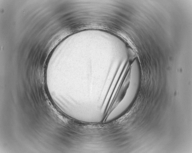 X0000086970898200705141648