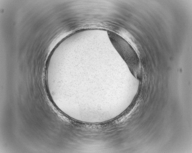 X0000086970901200705141648