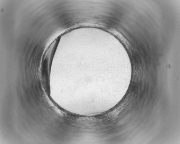 X0000086970902200705141648