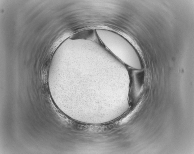 X0000086970905200705141648