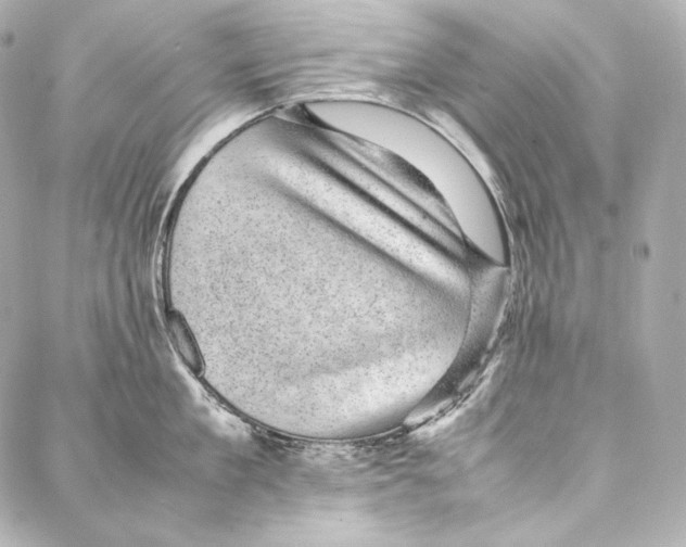 X0000086970909200705141648