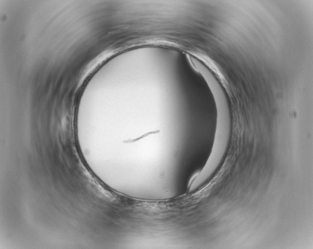 X0000086970910200705141648