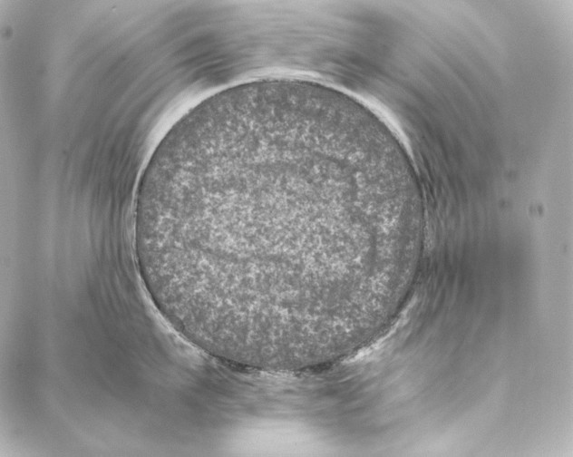 X0000086970911200705141648