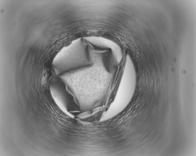 X0000086970914200705141647