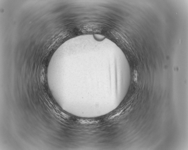 X0000086970915200705141647