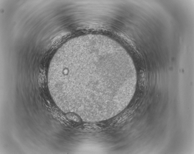 X0000086970918200705141647