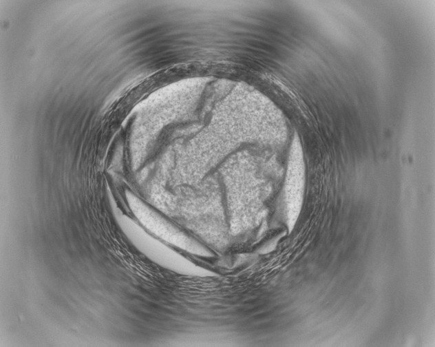 X0000086970919200705141647