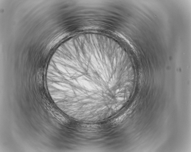 X0000086970921200705141647