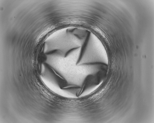 X0000086970922200705141647