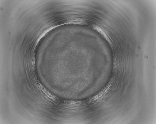 X0000086970923200705141647