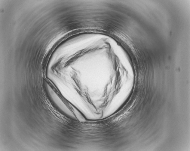 X0000086970925200705141647