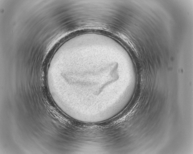 X0000086970926200705141647