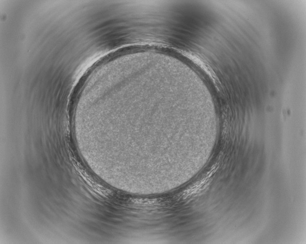 X0000086970927200705141647