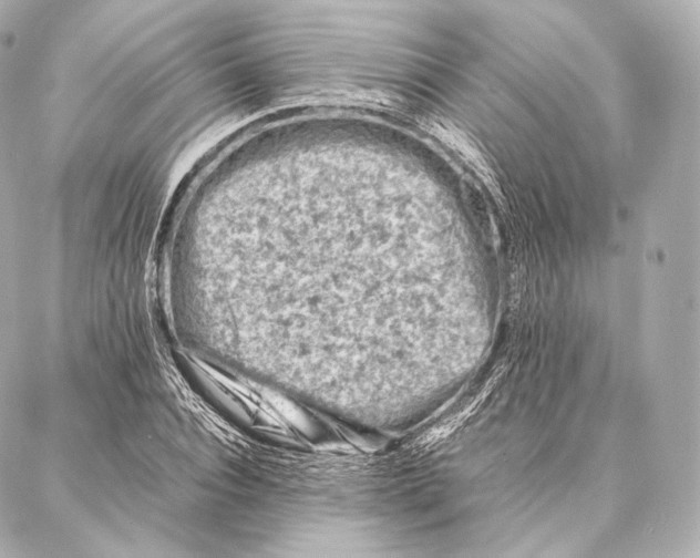 X0000086970928200705141647