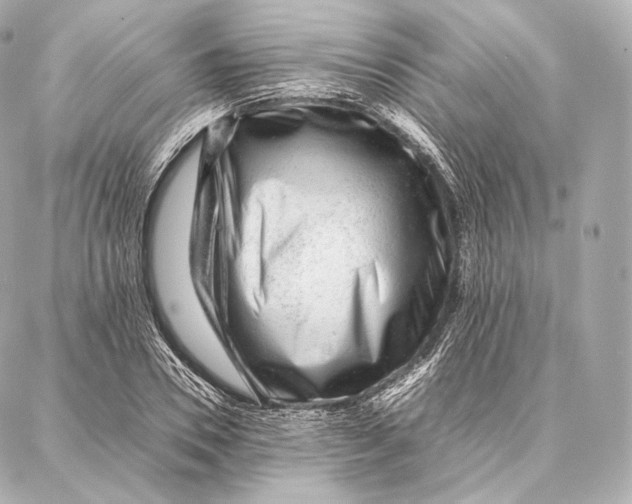 X0000086970930200705141647