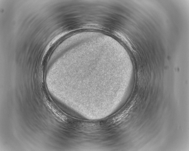 X0000086970931200705141647