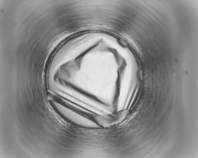 X0000086970932200705141647