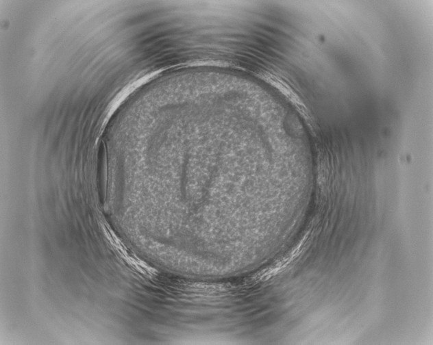 X0000086970933200705141647