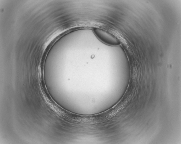 X0000086970936200705141647