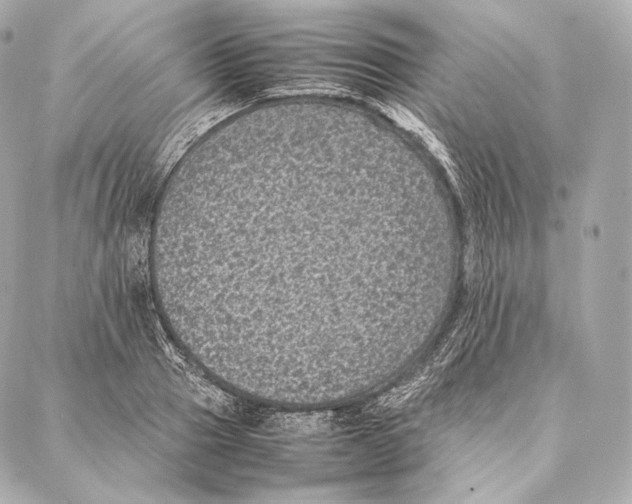 X0000086970937200705141647