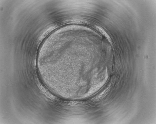 X0000086970938200705141647